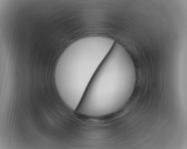 X0000114120699200910051259