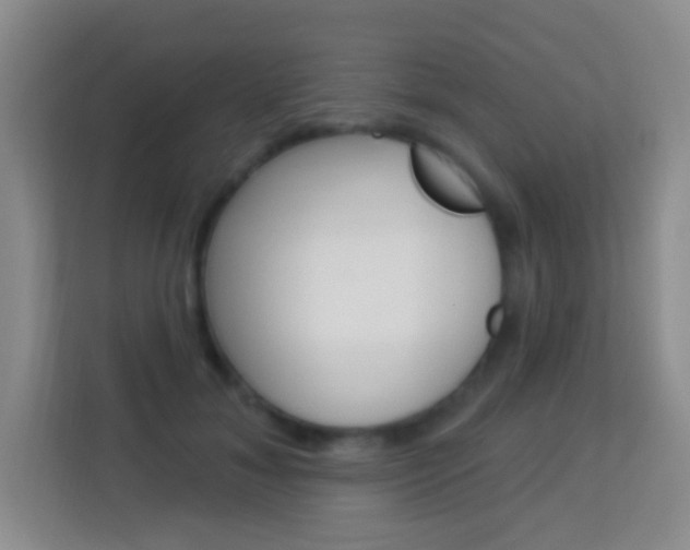 X0000114120700200910051259