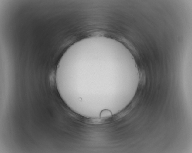 X0000114120717200910051259