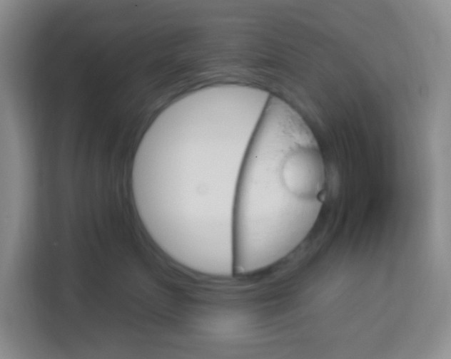X0000114120719200910051259