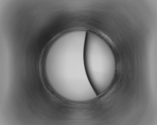 X0000114120722200910051258