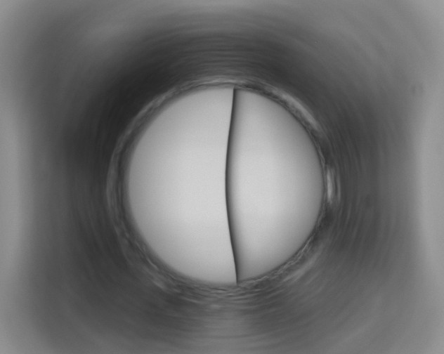X0000114120723200910051258