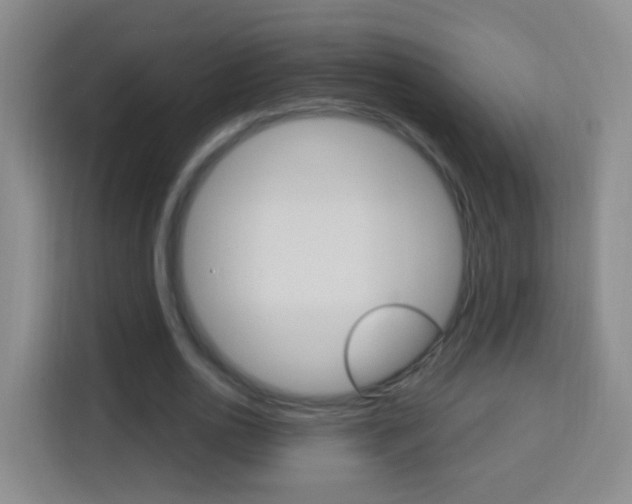 X0000114120726200910051258