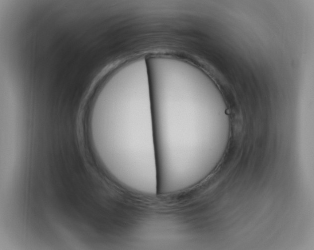 X0000114120727200910051258