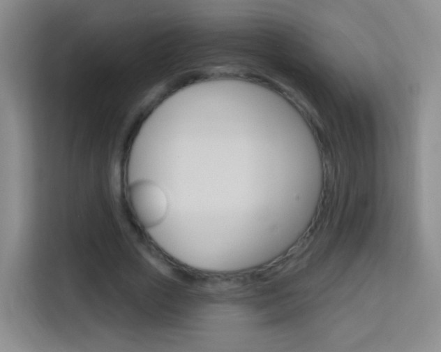 X0000114120729200910051258