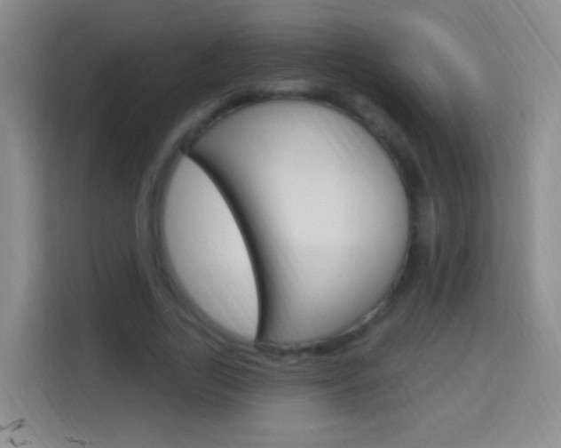 X0000114120731200910051258