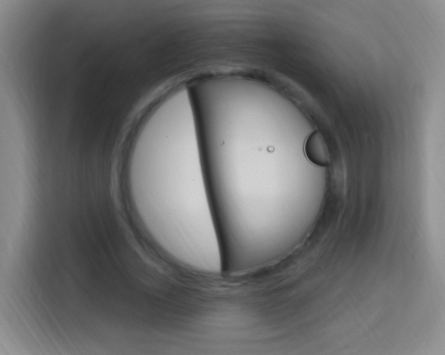 X0000114120732200910051258
