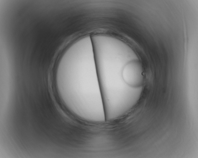 X0000114120734200910051259