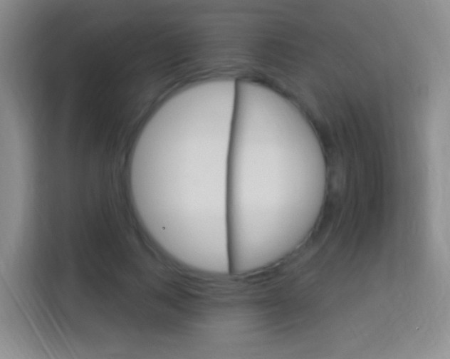 X0000114120743200910051259
