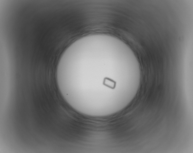 X0000114120748200910051259
