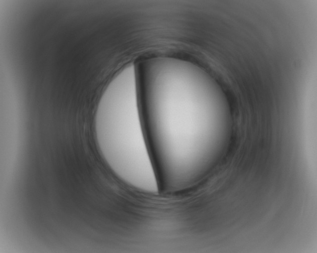 X0000114120750200910051259