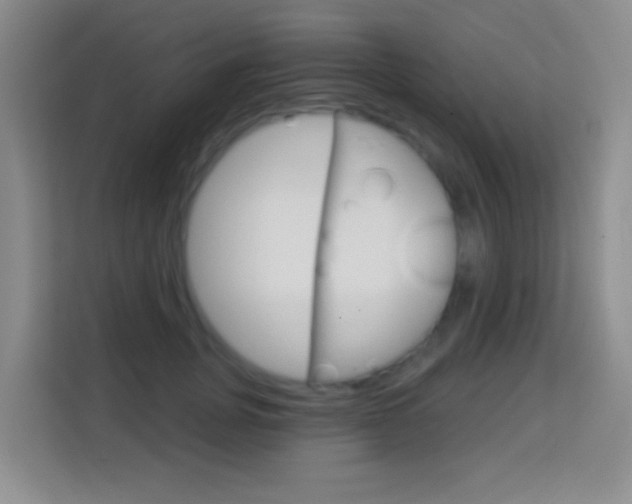 X0000114120751200910051259