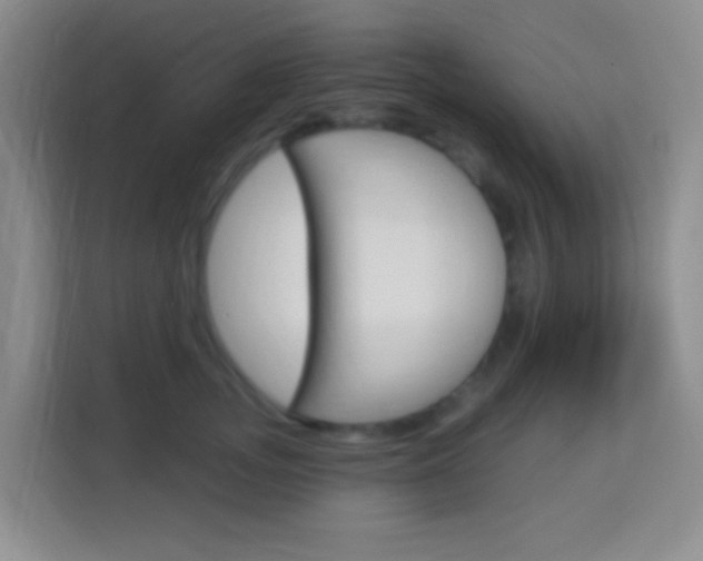 X0000114120755200910051259