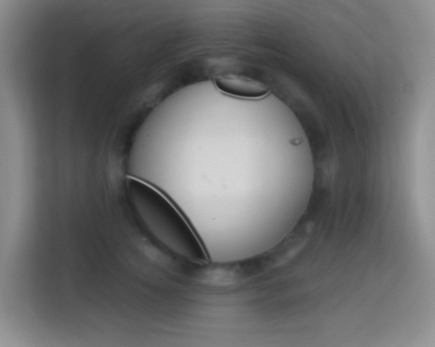 X0000114120756200910051259