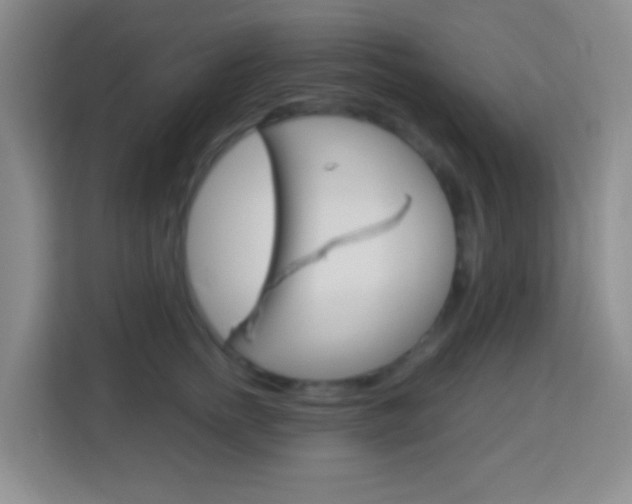 X0000114120758200910051259