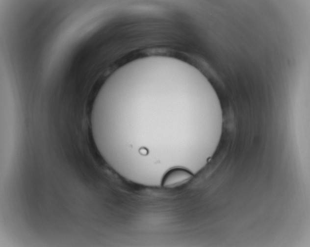 X0000114120763200910051259