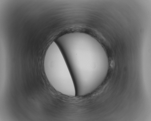 X0000114120771200910051258