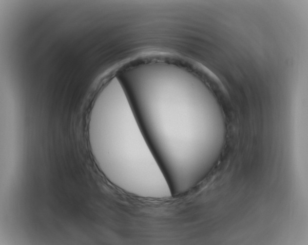 X0000114120775200910051258