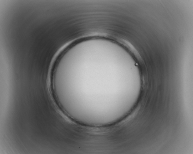 X0000114120780200910051258