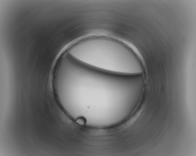 X0000114120783200910051258