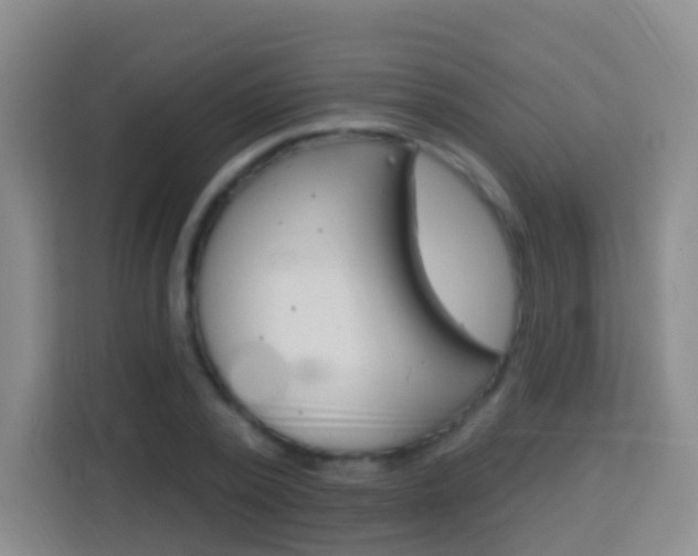 X0000114120784200910051258