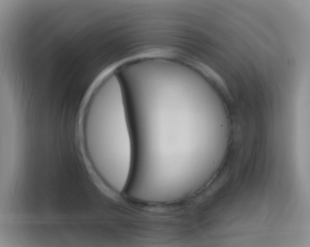 X0000114120792200910051258
