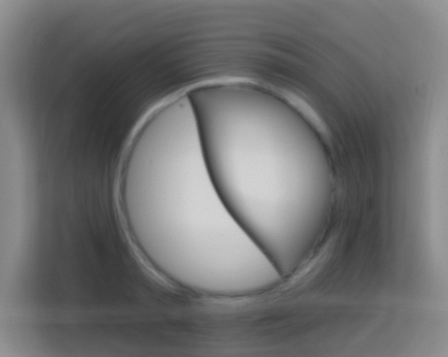 X0000114120797200910051258