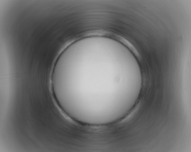 X0000114120802200910051258