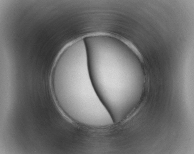 X0000114120805200910051258