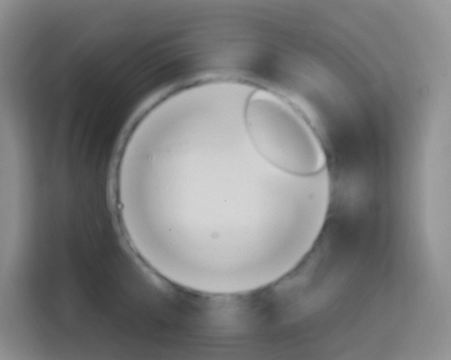 X0000114120807200910051258