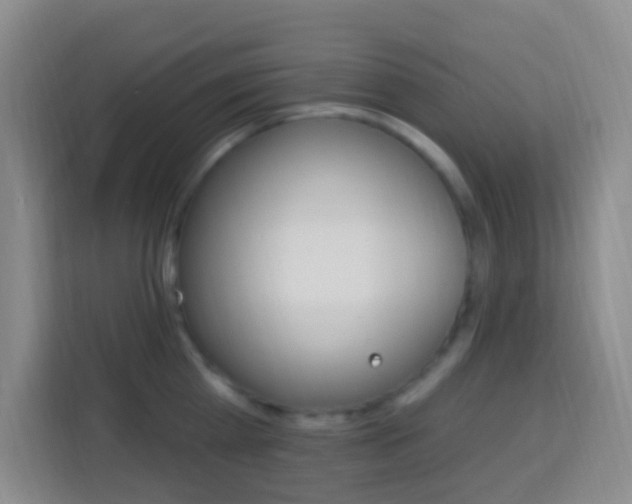 X0000114120809200910051258