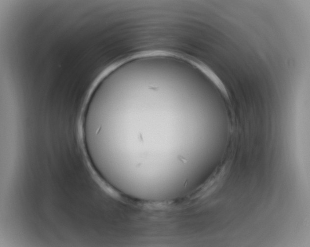 X0000114120813200910051258