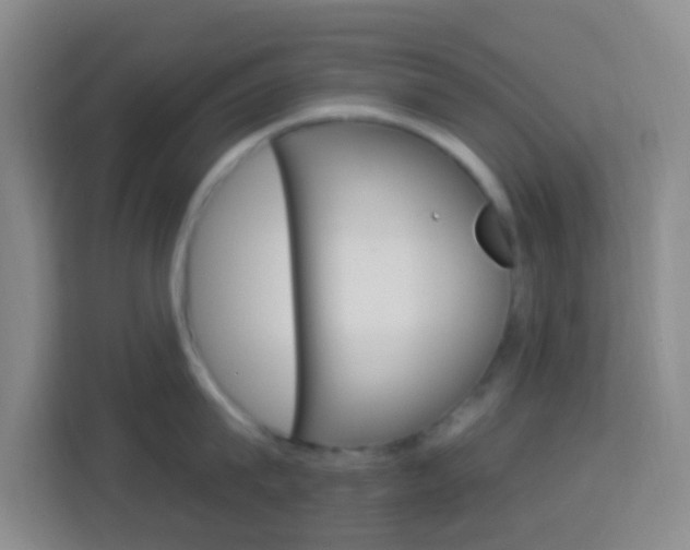 X0000114120815200910051258