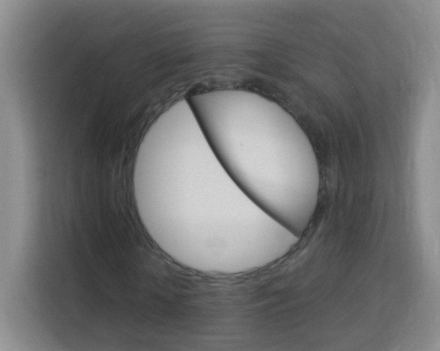 X0000114120818200910051257