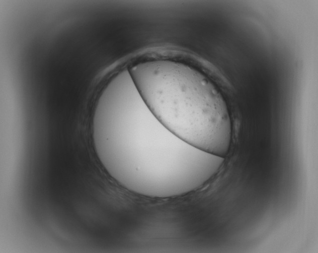X0000114120822200910051257