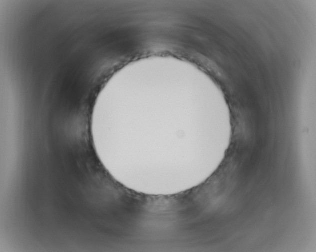 X0000114120824200910051257