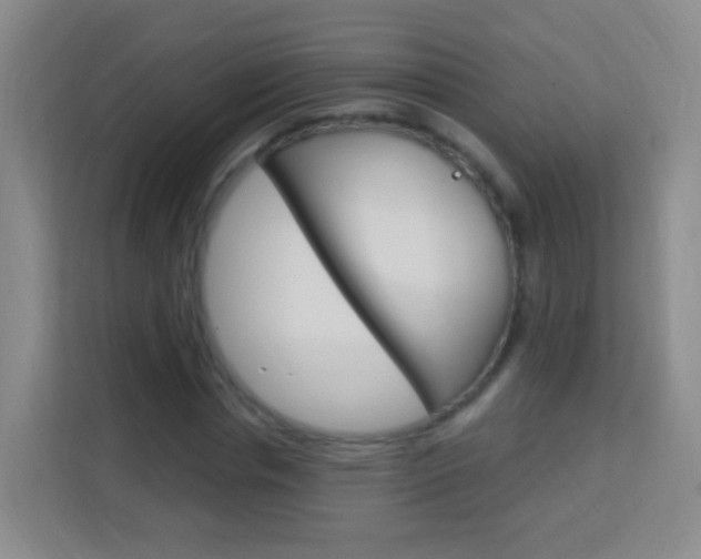 X0000114120826200910051257
