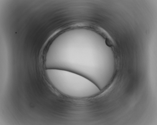 X0000114120827200910051257