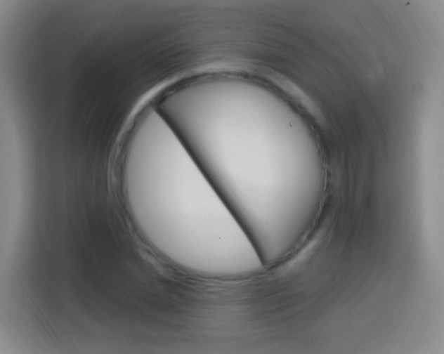 X0000114120830200910051257
