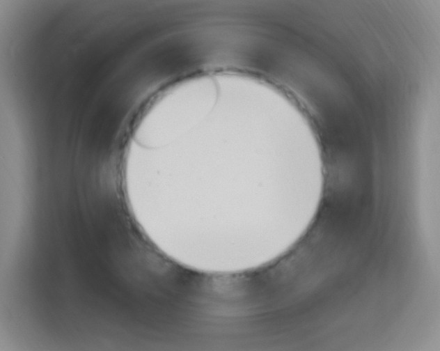 X0000114120832200910051257