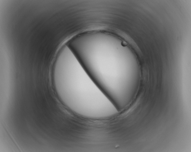 X0000114120834200910051257