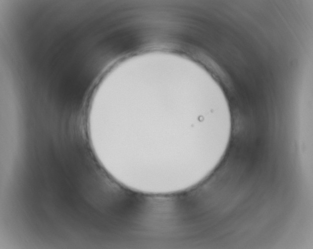 X0000114120836200910051257