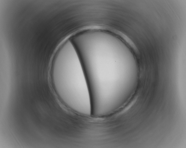 X0000114120837200910051257
