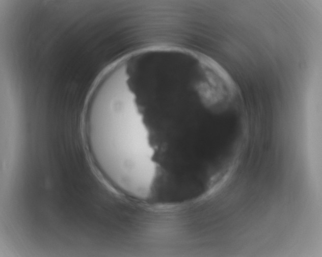 X0000114120839200910051257