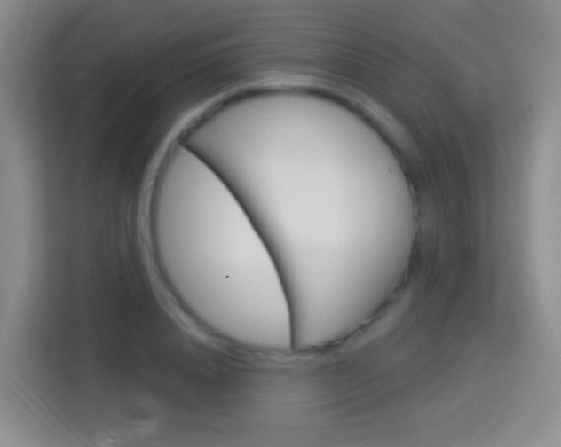 X0000114120840200910051257
