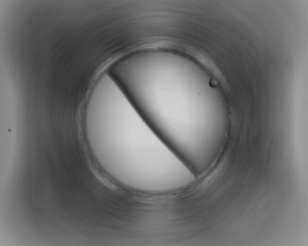 X0000114120842200910051257