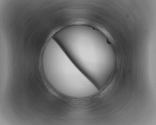 X0000114120850200910051257