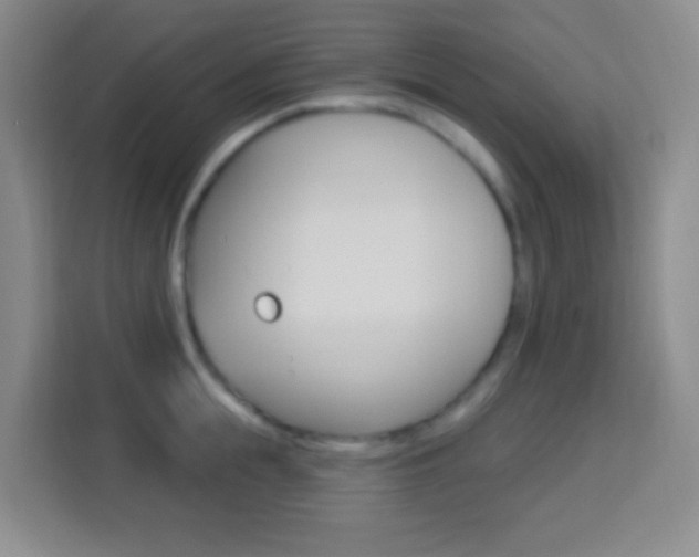 X0000114120855200910051257