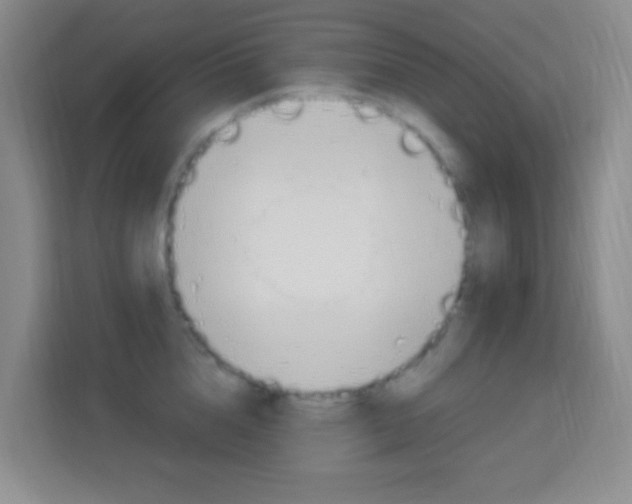 X0000114120856200910051257