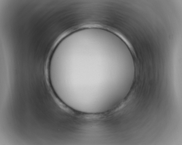 X0000114120861200910051258